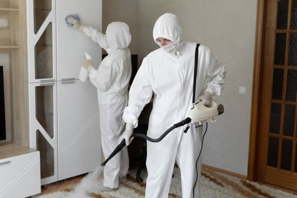 Certified Mold Removal in Bowmanstown, PA